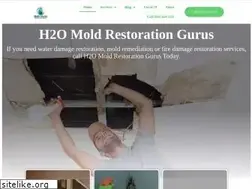 Sites similar to h2omoldrestorationgurus.com