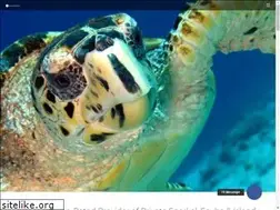 Sites similar to h2ovisionsbonaire.com