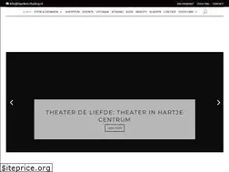 Sites similar to haarlemcityblog.nl