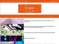 Sites similar to haberuygur.com