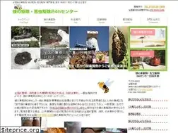 Sites similar to hachicenter.net