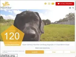 Sites similar to hachiko.org
