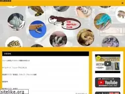 Sites similar to hachikura.com
