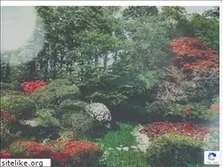 Sites similar to hachinohe-park.com