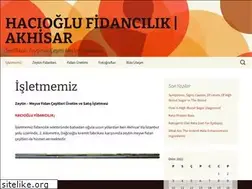 Sites similar to hacioglufidancilik.com