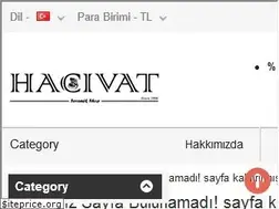 Sites similar to hacivatshop.com
