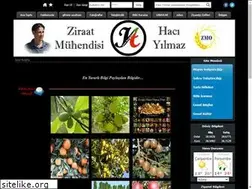 Sites similar to haciyilmaz.com