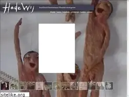 Sites similar to hadewij.nl