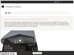 Sites similar to haelvoet.be