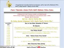 Sites similar to hafizefendi.com