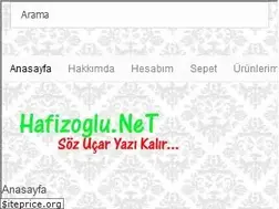 Sites similar to hafizoglu.net