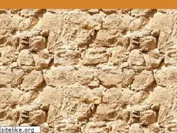 Sites similar to hafner-hipp.de