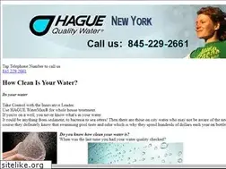 Sites similar to haguewaternewyork.com