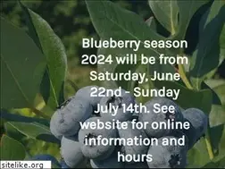 Sites similar to hainesberryfarm.com
