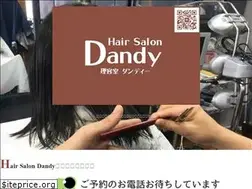 Sites similar to hair-dandy.com