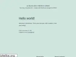 Sites similar to hairofzrian.fr