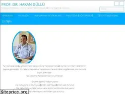 Sites similar to hakangullu.com