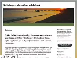 Sites similar to hakankonyar.com