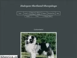 Sites similar to halcyonshelties.com