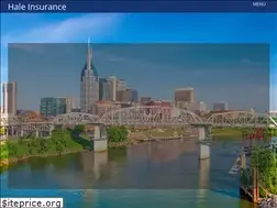 Sites similar to haleinsurance.com