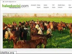 Sites similar to halepkecisi.com