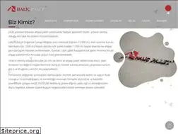 Sites similar to halicpalet.com.tr