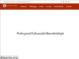 Sites similar to halicveteriner.com