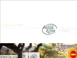 Sites similar to halilesen.com