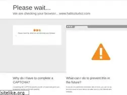 Sites similar to halilozturkci.com