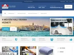 Sites similar to haliyikamaavrupa.com