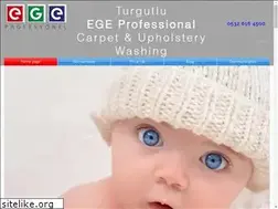 Sites similar to haliyikamaturgutlu.com