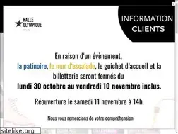 Sites similar to halleolympique.com