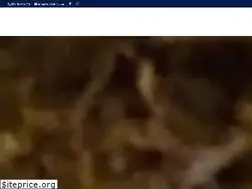 Sites similar to halliehill.com