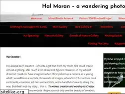 Sites similar to halmoran.com