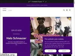 Sites similar to haloschnauzer.com
