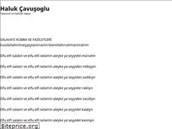 Sites similar to halukcavusoglu.wordpress.com
