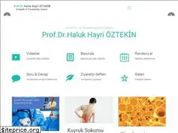 Sites similar to halukoztekin.com