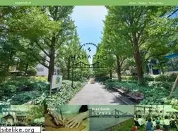 Sites similar to hamacho.jp