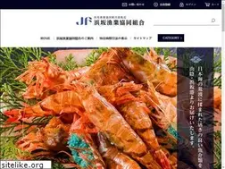 Sites similar to hamasaka-shop.com