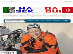 Sites similar to hamidaseklaoui.com