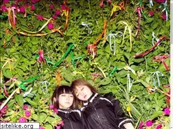 Sites similar to hamidasystem.jp