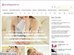 Sites similar to hamilelikgebelik.net