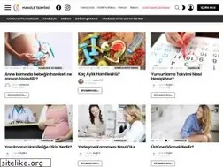 Sites similar to hamiletakvimi.com