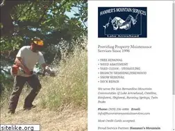 Sites similar to hammersmountainservices.com