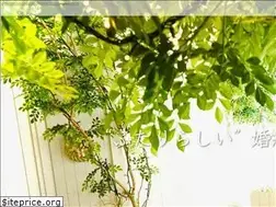 Sites similar to hamri.jp