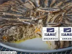 Sites similar to hamsi.com.tr