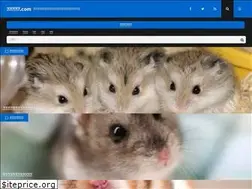 Sites similar to hamuster.com