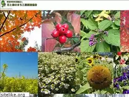 Sites similar to hanakyokai.or.jp