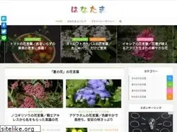 Sites similar to hanatama.jp