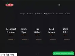 Sites similar to hancicay.com.tr